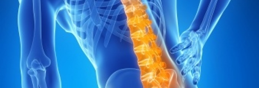 Seven Secrets to Avoiding Back Pain